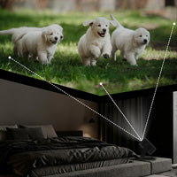 Lenyes LPR03 | 2.69” LCD 200 ANSI Lümen PTZ Projektör Yansıtma Cihazı